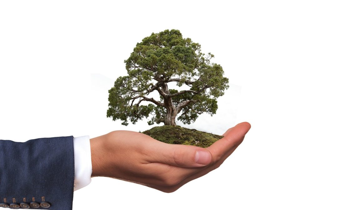 If you are considering environmentally friendly move, white not get plastic relocation boxes? Here are some tips for eco-friendly (and possibly cheaper) move.