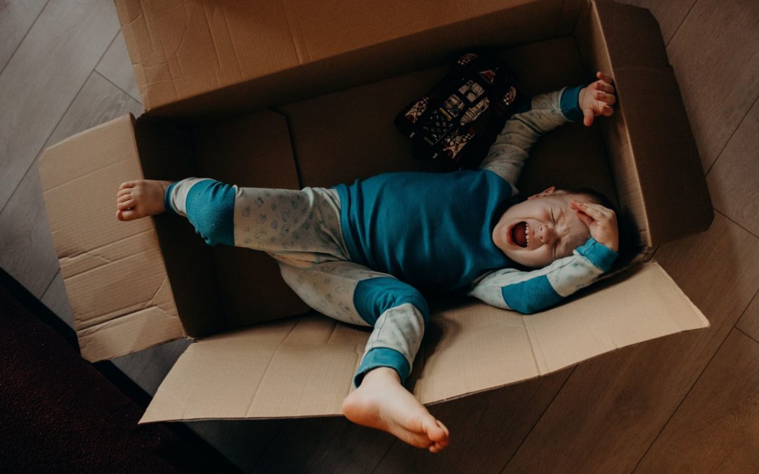 With these useful pieces of advice, make sure your sorting and packing into boxes becomes a good, satisfying experience. Have a good one!