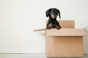 When packing, the essential things to know are how and when to start doing it. This guide will make packing less tedious and more enjoyable.