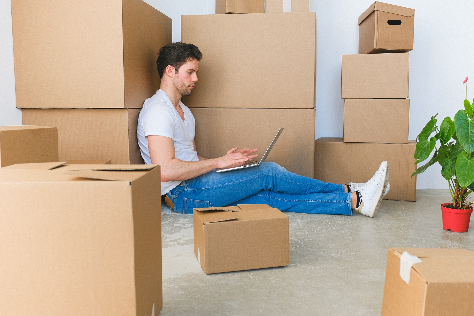 We can choose between a variety of cardboard and plastic boxes for moving, but which ones would fit the best?