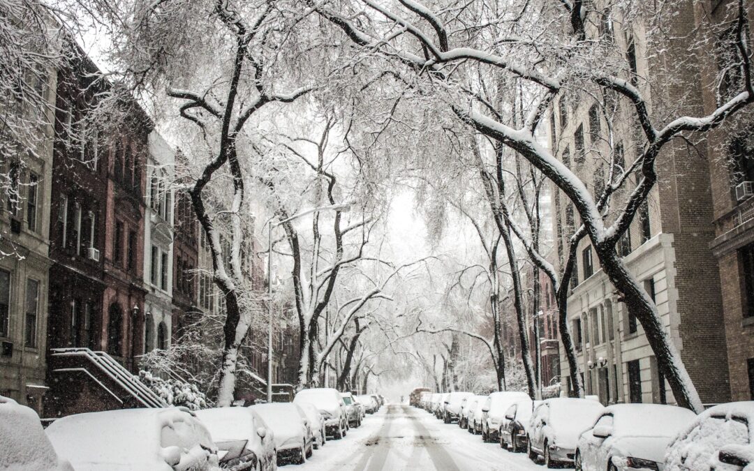 Protect Your Belongings – Moving in Winter Season